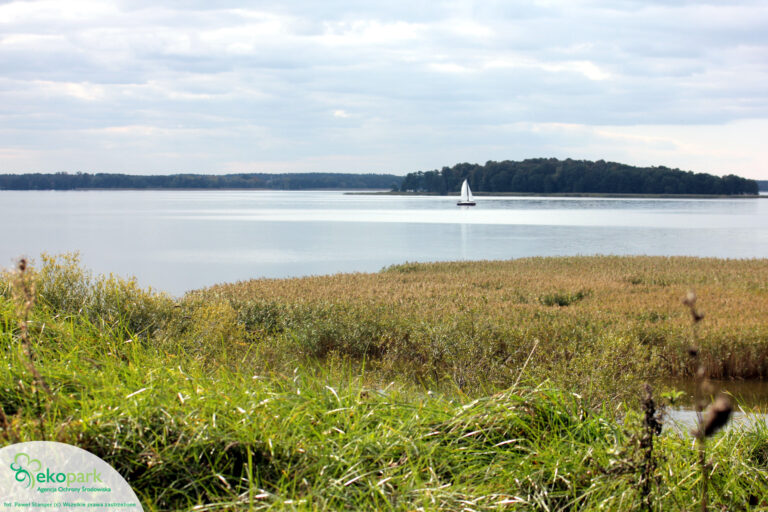 żaglówka na jeziorze