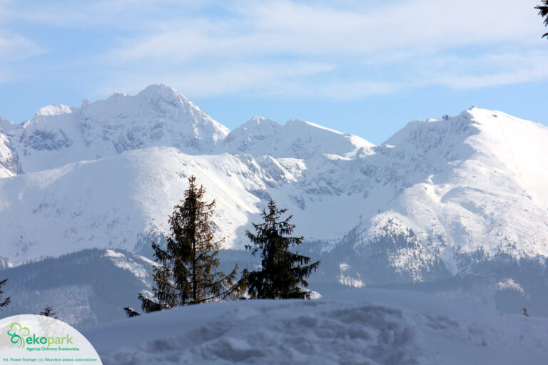 góry zimą